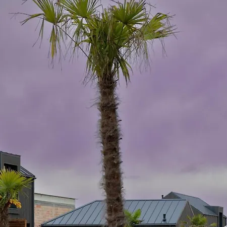 Palmes Pirmas Sezonas Palanga