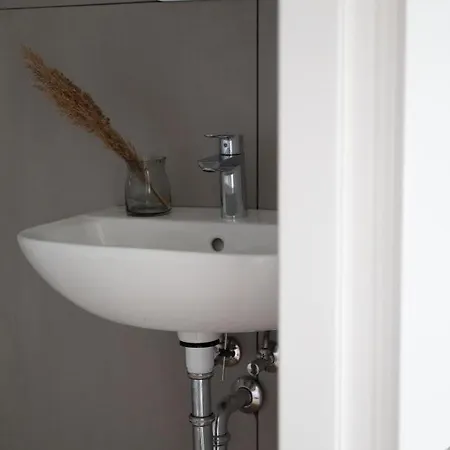 Palmes Pirmas Sezonas *