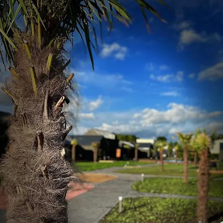 Palmes Pirmas Sezonas Apartment Palanga