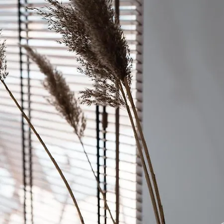 Palmes Pirmas Sezonas Апартаменти *