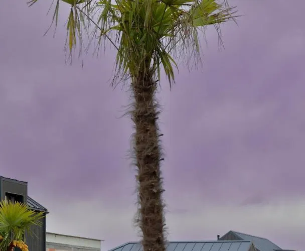 Palmes Pirmas Sezonas 帕兰加