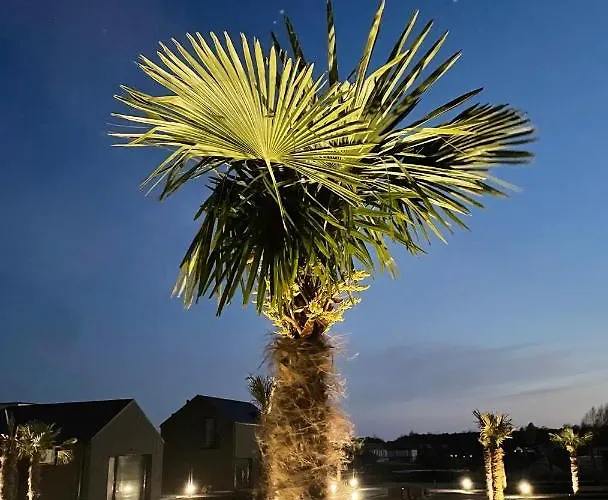 Palmes Pirmas Sezonas 公寓