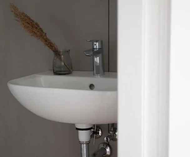 Palmes Pirmas Sezonas *