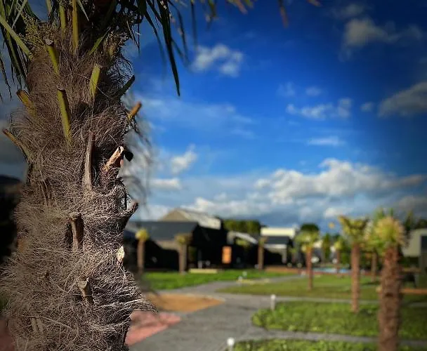 Palmes Pirmas Sezonas 公寓 帕兰加