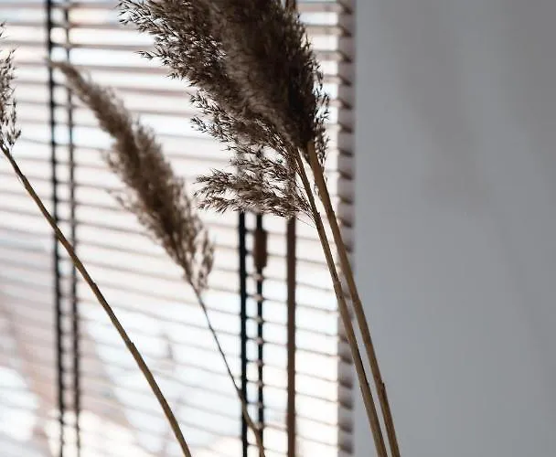 Palmes Pirmas Sezonas Апартаменти *